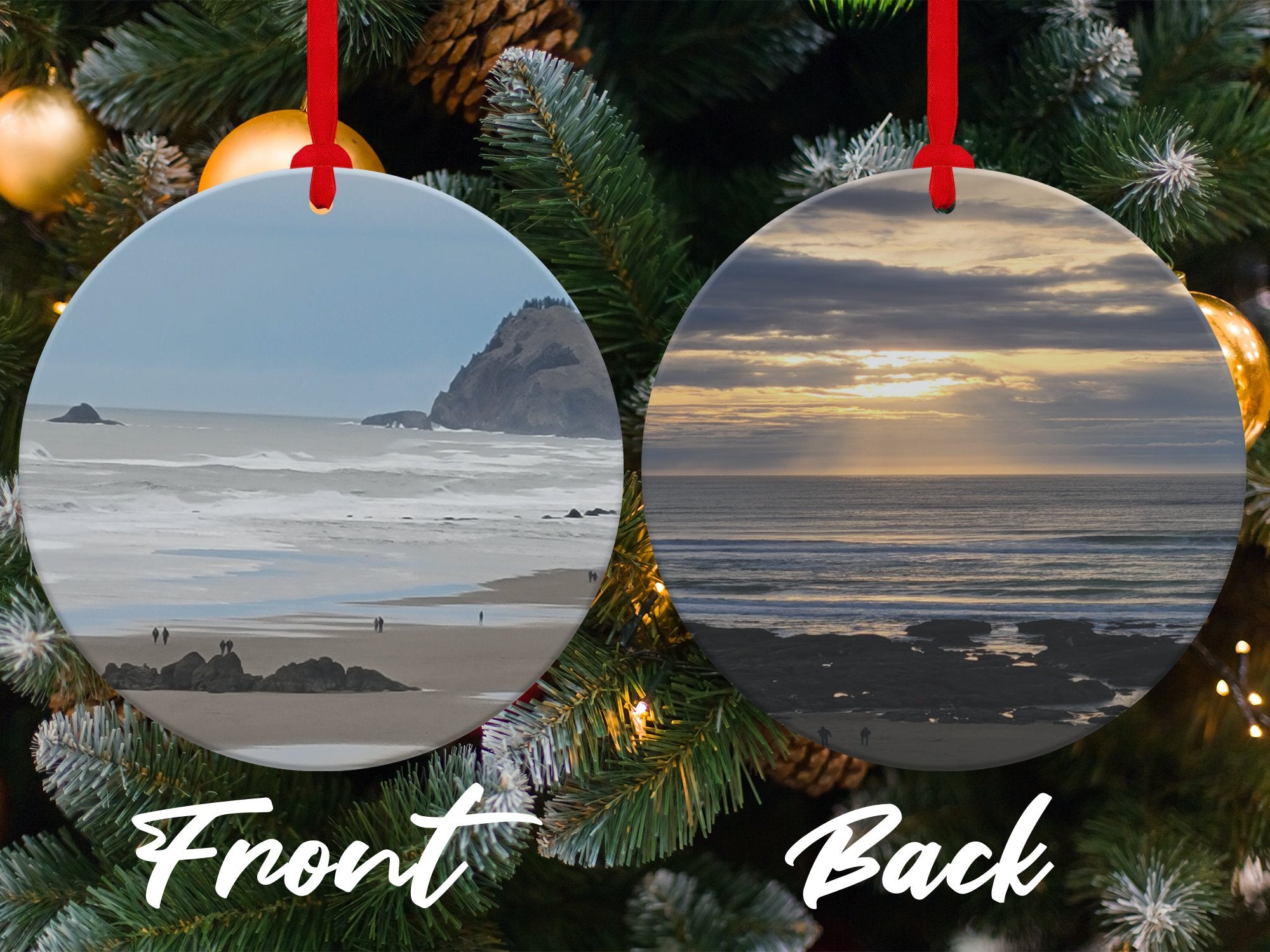 31087413-6e7c-4645-9227-df4e88806a46