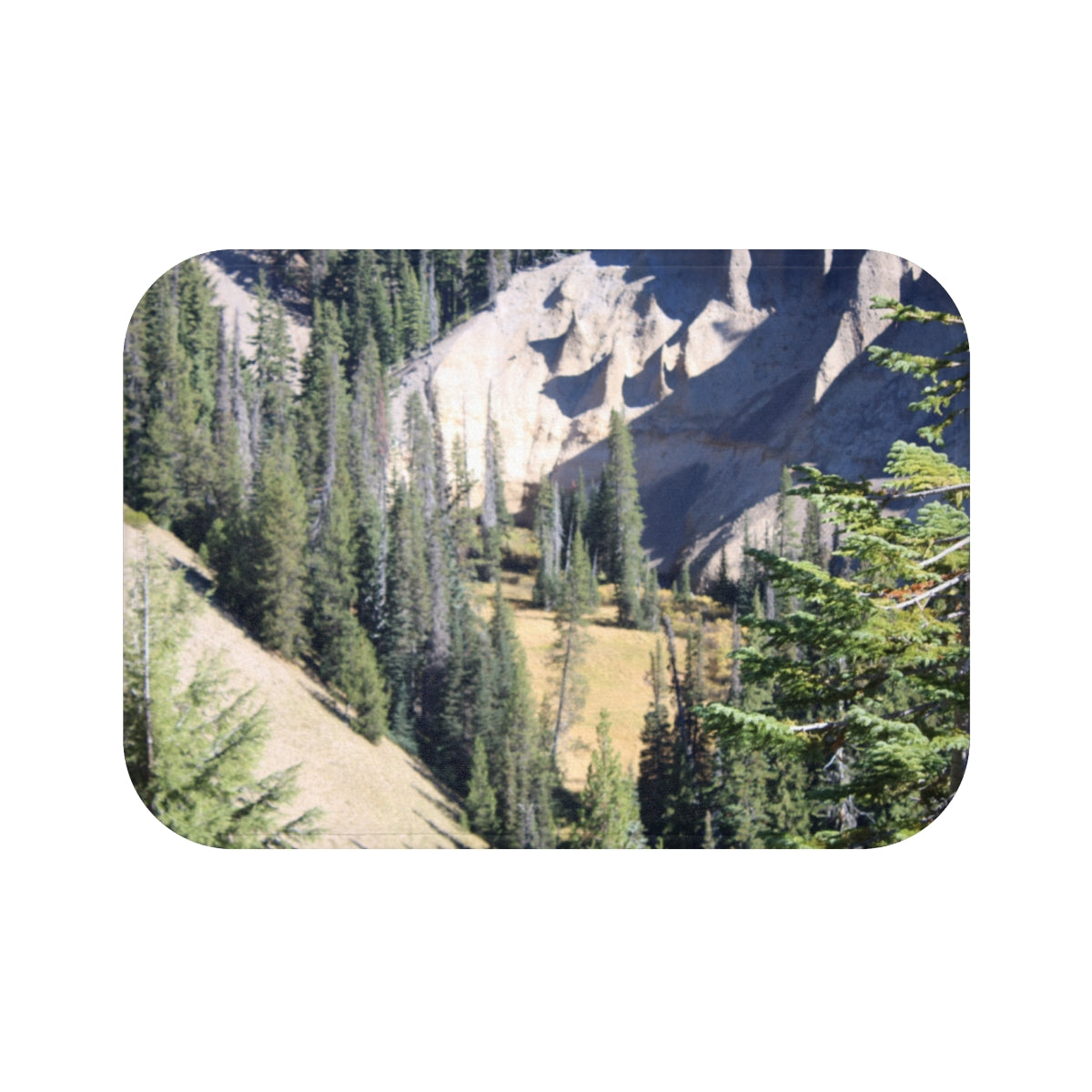 Scenic Forest Landscape with Mountain View product