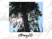 315b927b-9d03-473f-a2d0-1c8e63f2fbec