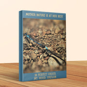 Mother Nature Is At Her Best Dragonfly Canvas product