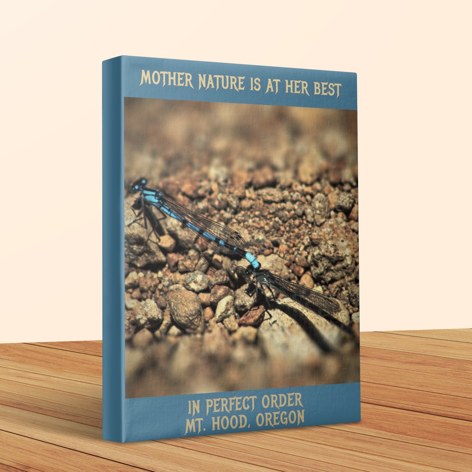 Mother Nature Is At Her Best Dragonfly Canvas product