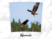 31c125bd-e8ad-467d-bcb7-47d613caf0a7