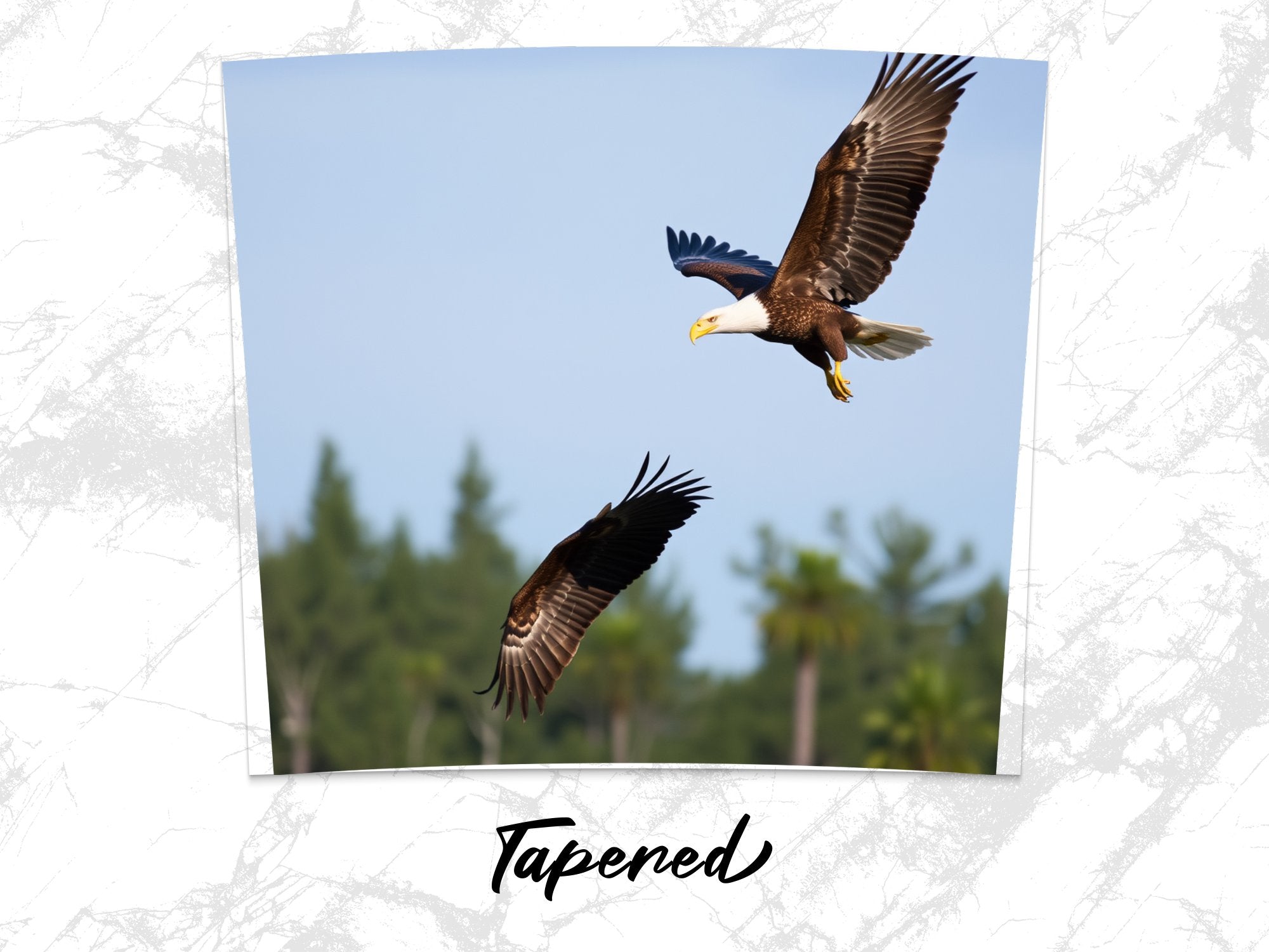 31c125bd-e8ad-467d-bcb7-47d613caf0a7