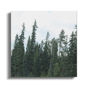 328d247c-1652-4317-8239-96a4bcfb9ec4