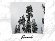 33304ee5-46c2-44ca-b61c-4eb3118c355a