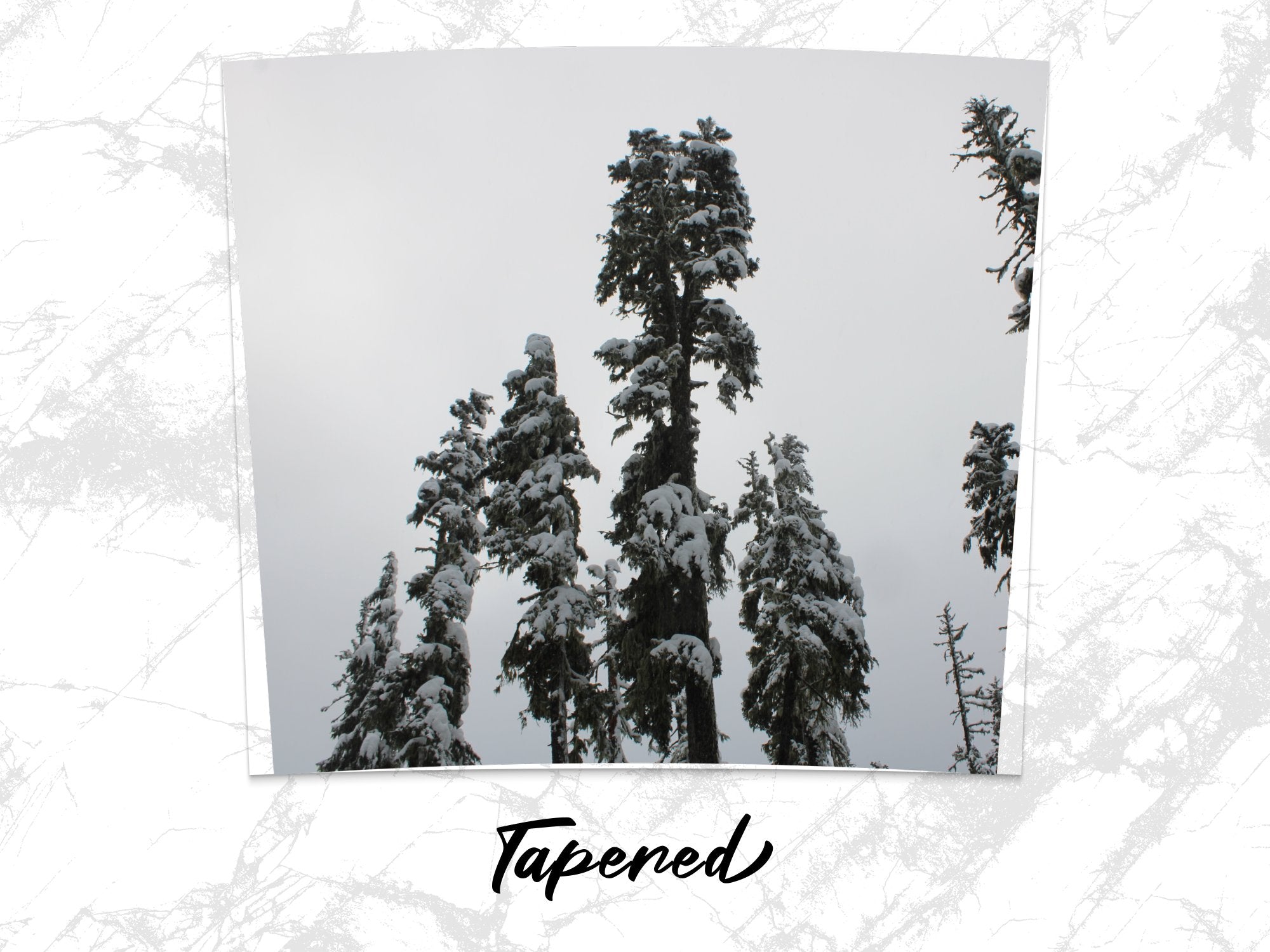 33304ee5-46c2-44ca-b61c-4eb3118c355a