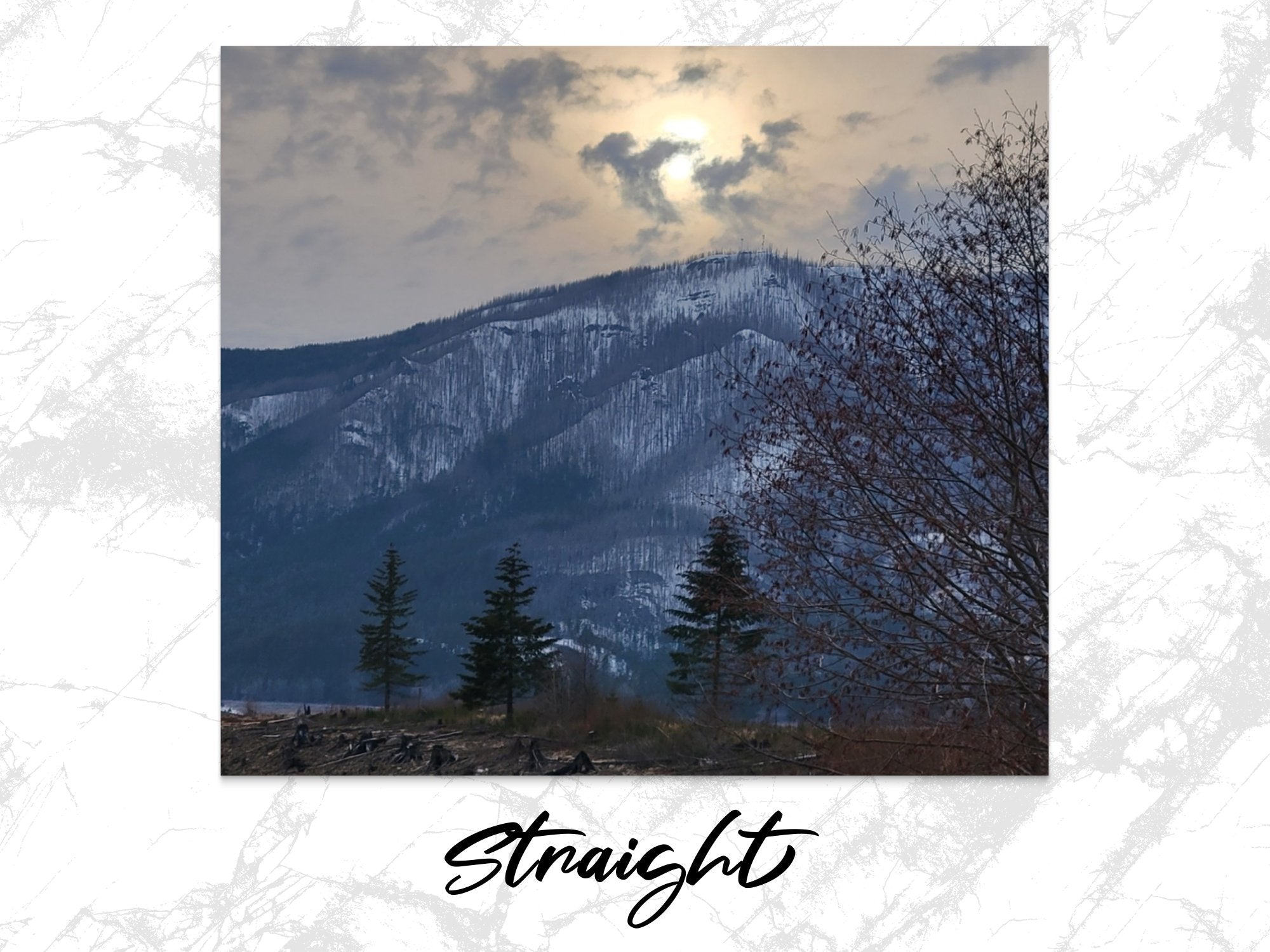 33bf0a91-dd5e-4bcd-a738-68497861ccf4