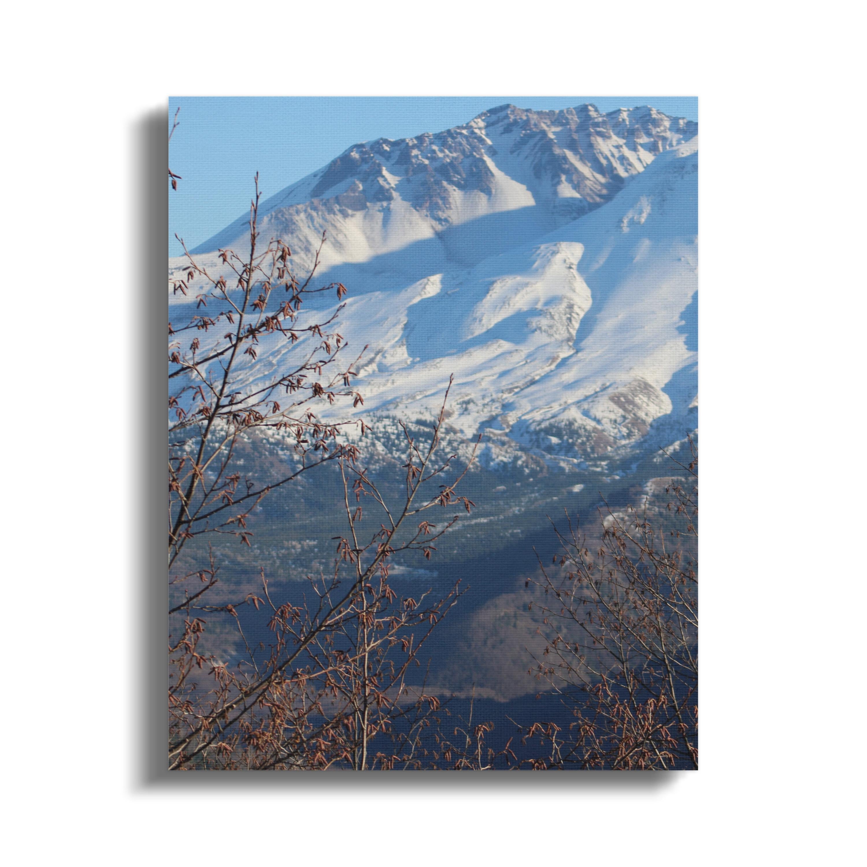 34110eb9-c8fe-48d8-95f2-667d165a6a5c