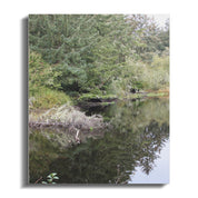 34195338-60ce-4769-b466-4ba7f37fab99