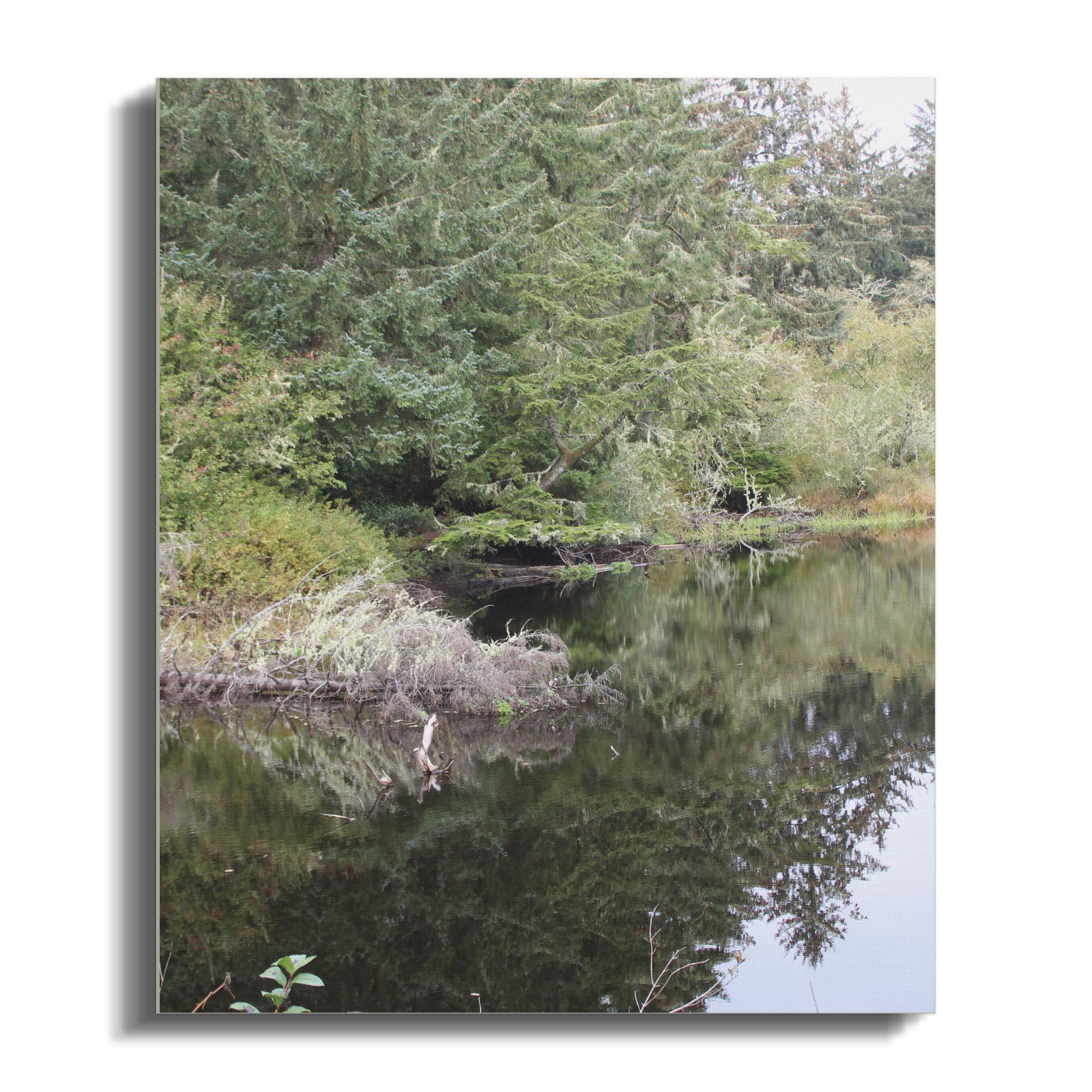 34195338-60ce-4769-b466-4ba7f37fab99