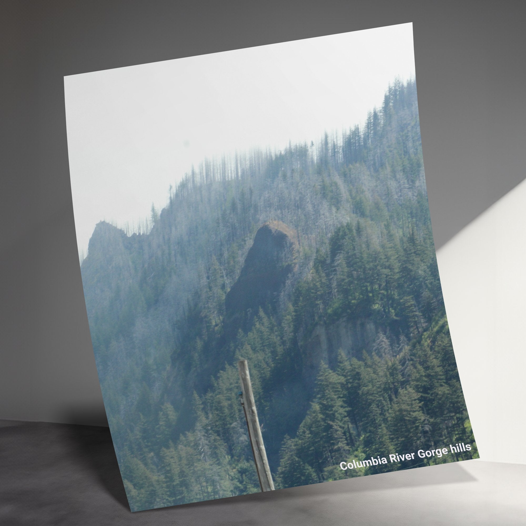 357c2a13-404e-423d-8a69-b239976b4089