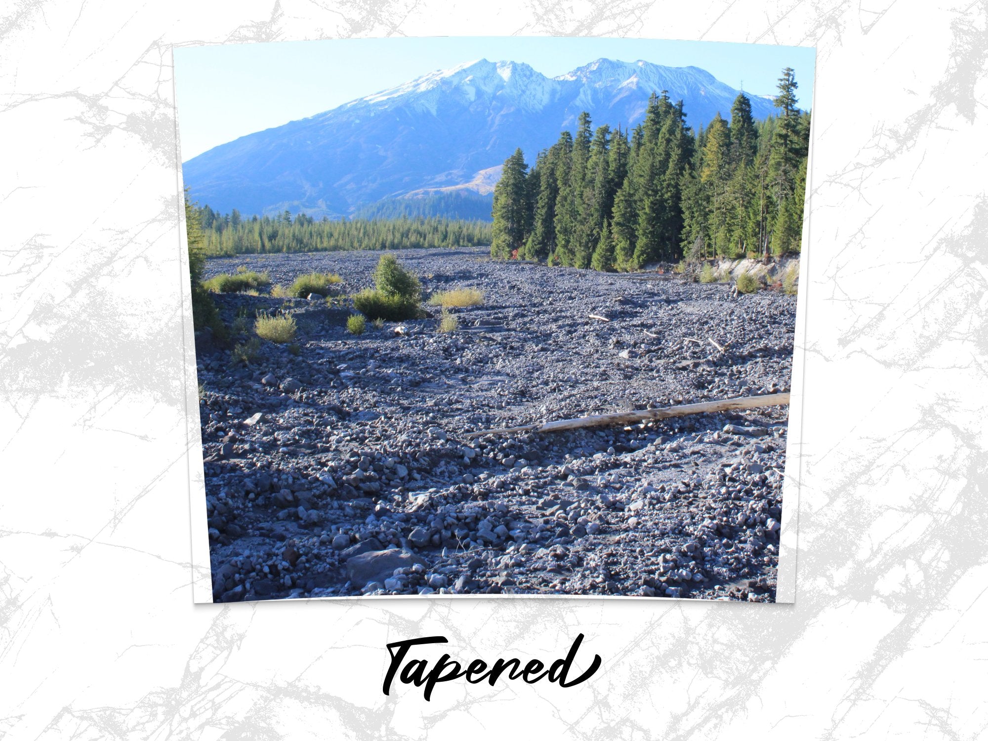 3603cd81-7b79-4717-b081-78b207ed25f6