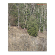 36ce50dc-15f8-49e3-8263-ede450ba3fdc