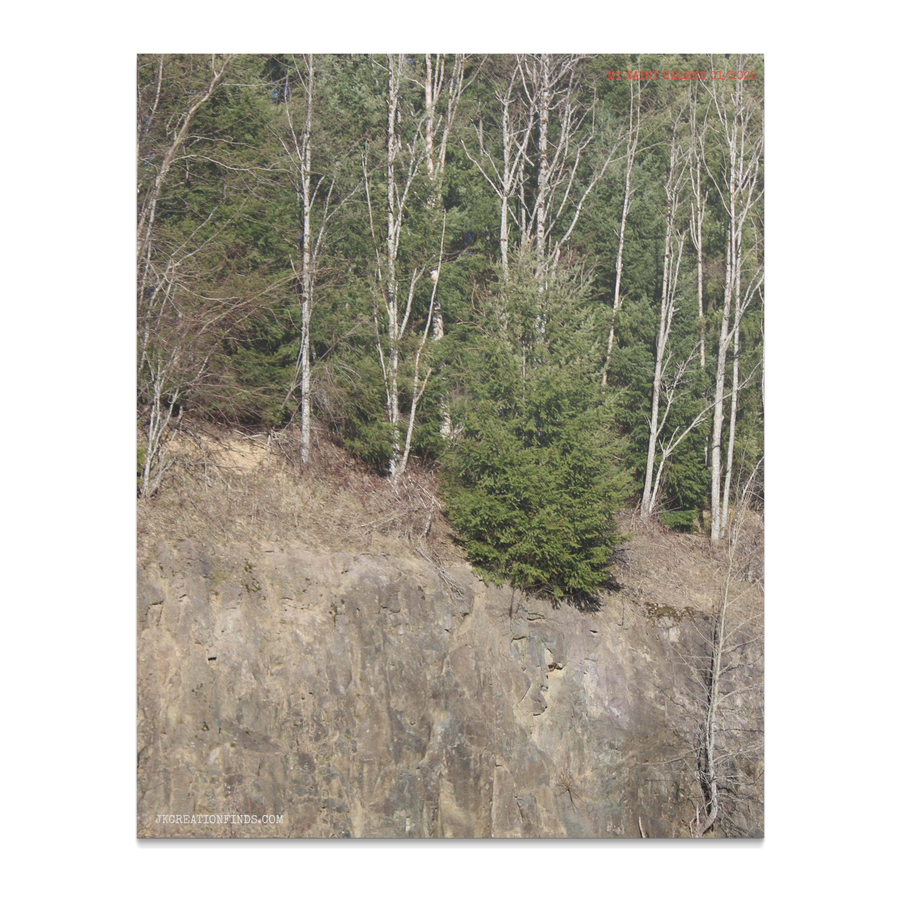 36ce50dc-15f8-49e3-8263-ede450ba3fdc