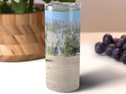 36d2ba56-337e-4f76-8dd6-2aaed16332a6