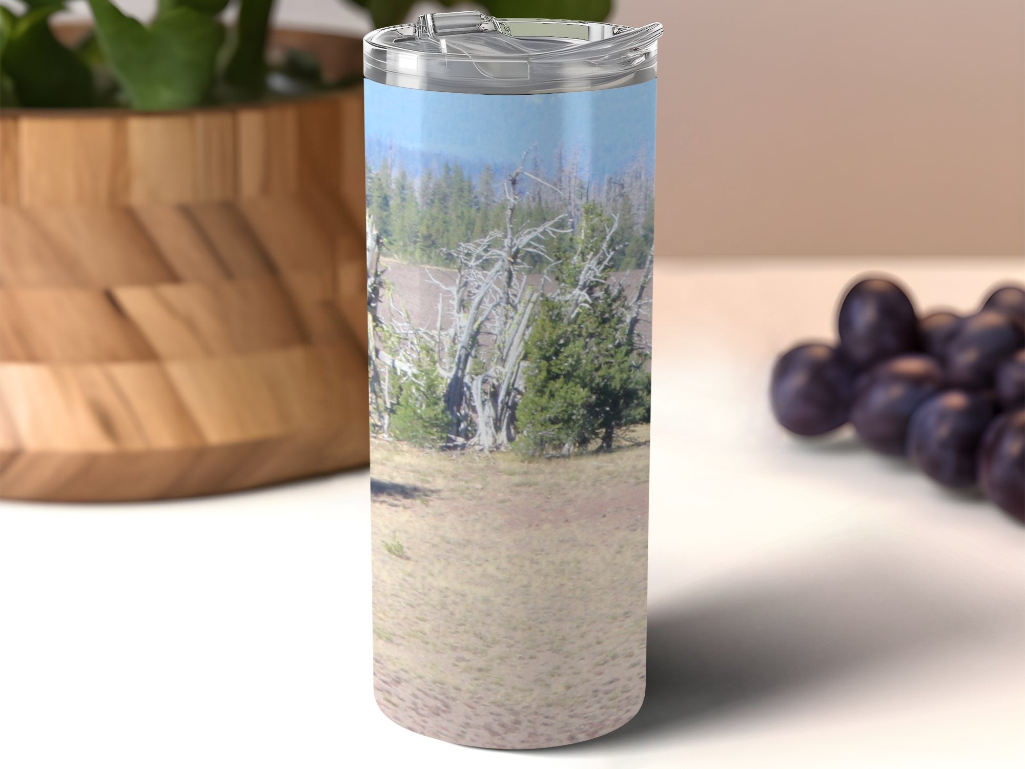 36d2ba56-337e-4f76-8dd6-2aaed16332a6