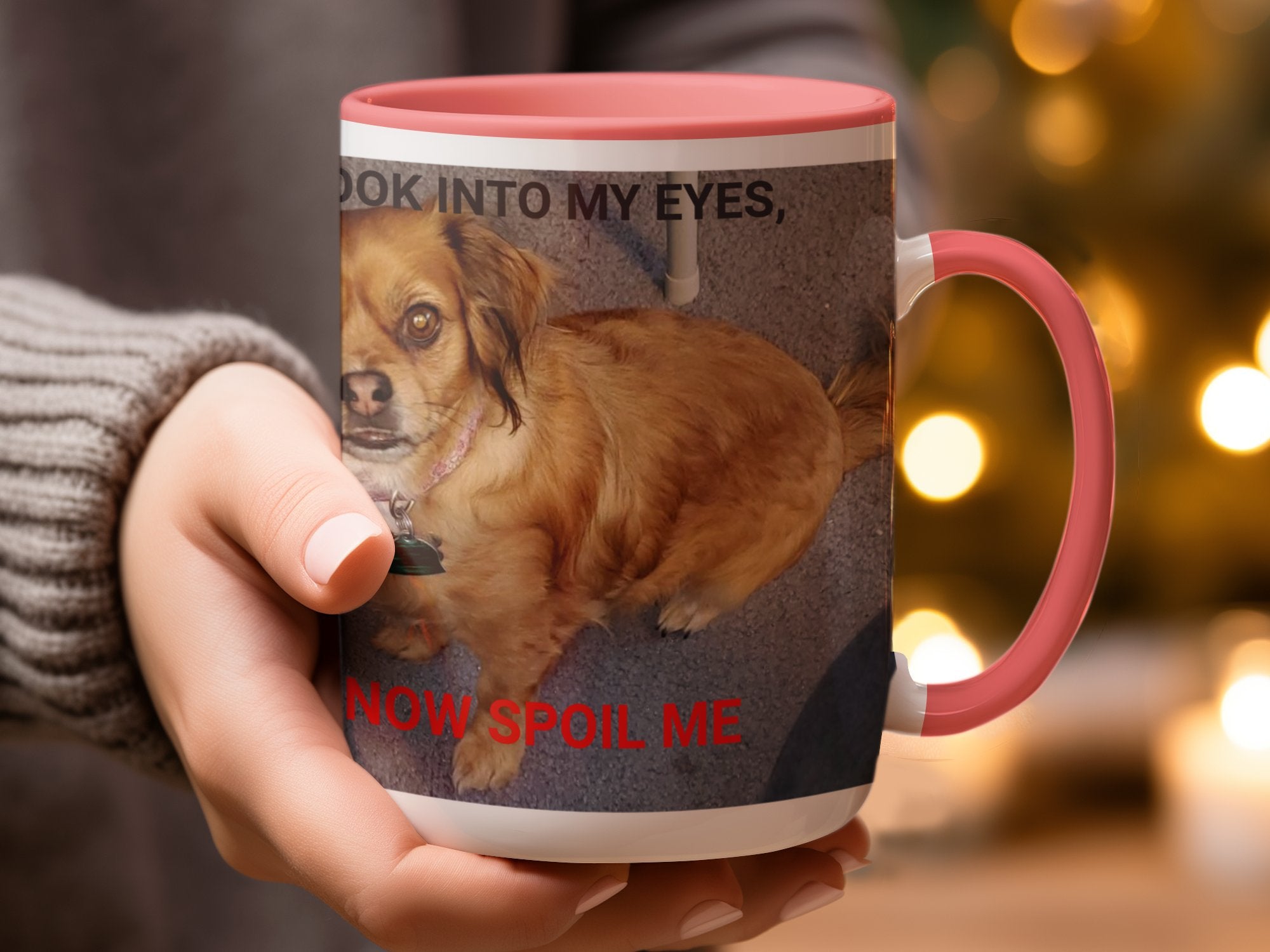 375566a0-0143-4d98-b7a8-2b8bb2f5e989