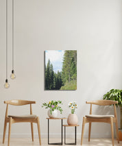 38433475-4d4f-4c1d-b375-8b4ba256f9e9