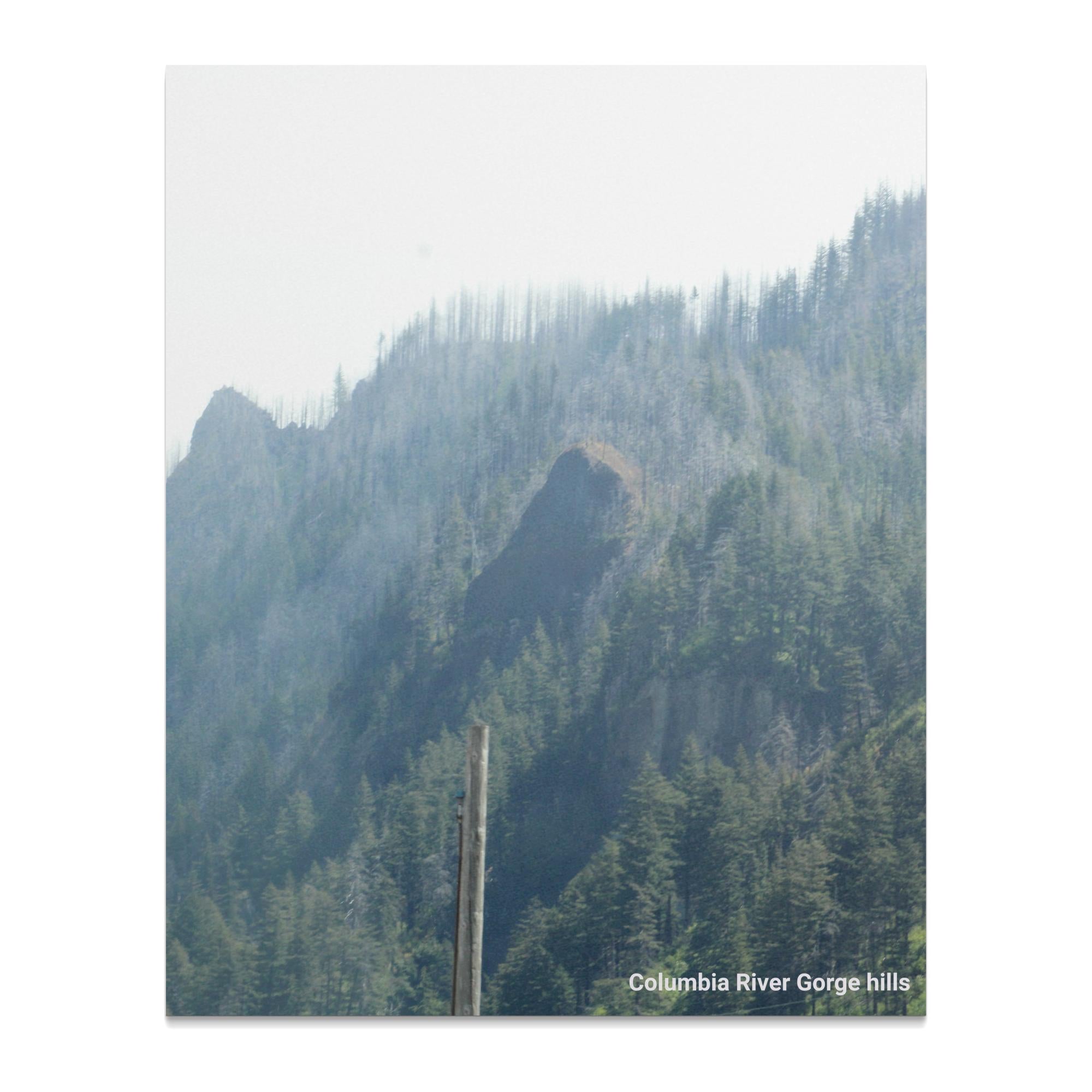 39da3f3a-9cac-4541-8ad4-1d2ff3392740