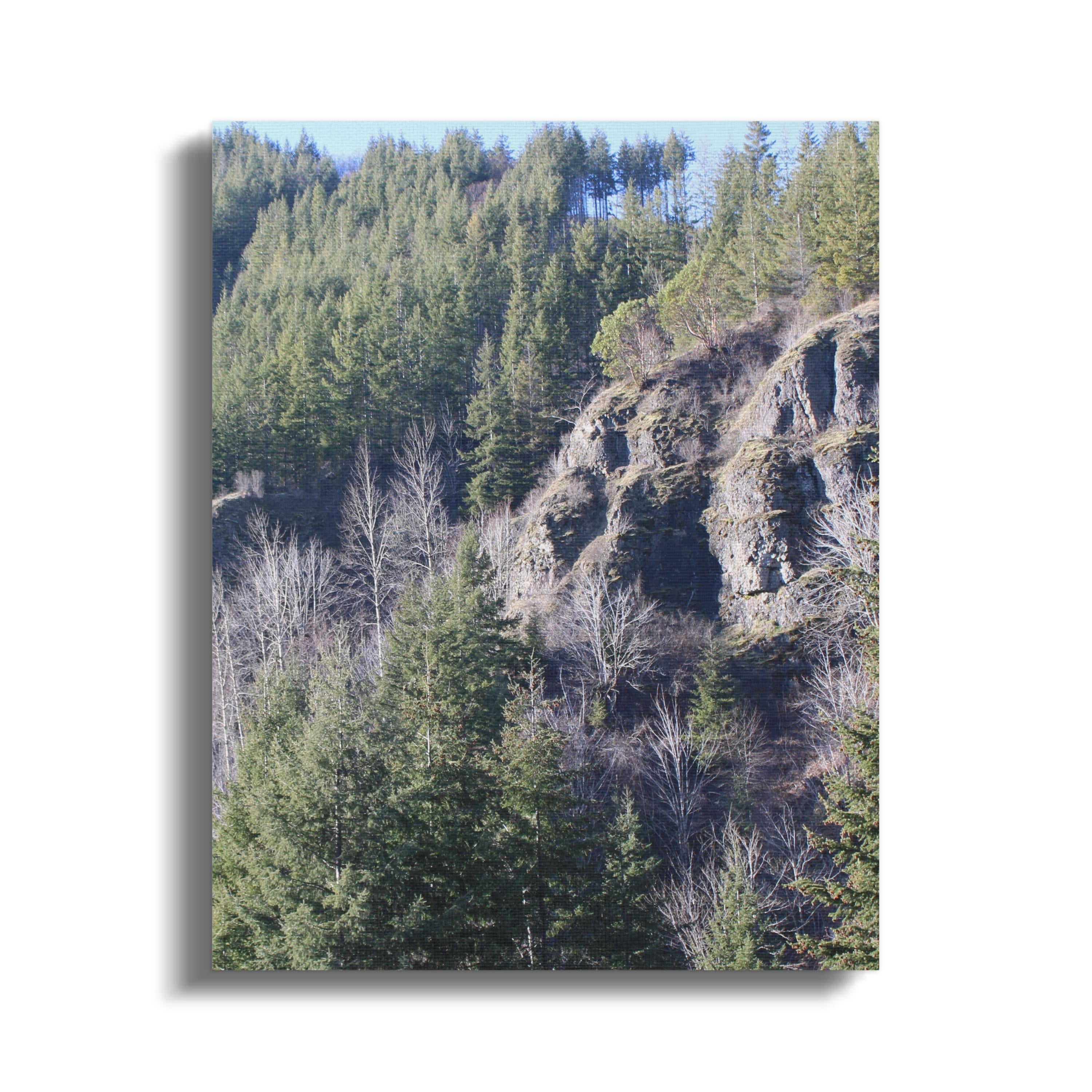 3a7c114f-f0dd-40d9-b657-038cba9e7c1a