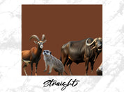 3a945abc-00bc-4a10-82f2-e3be724908ba