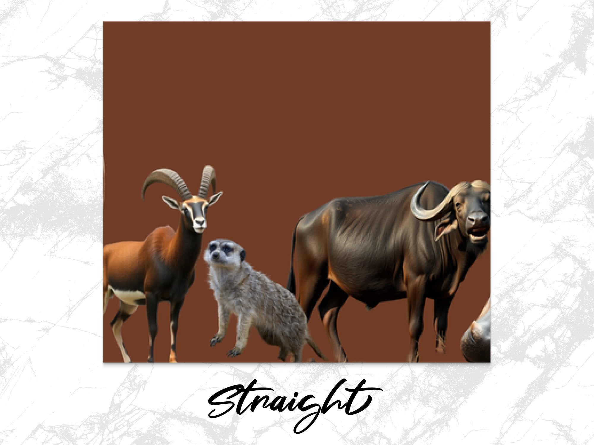 3a945abc-00bc-4a10-82f2-e3be724908ba