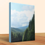 3ac1c869-6329-4be6-bbfb-39cec0e88371