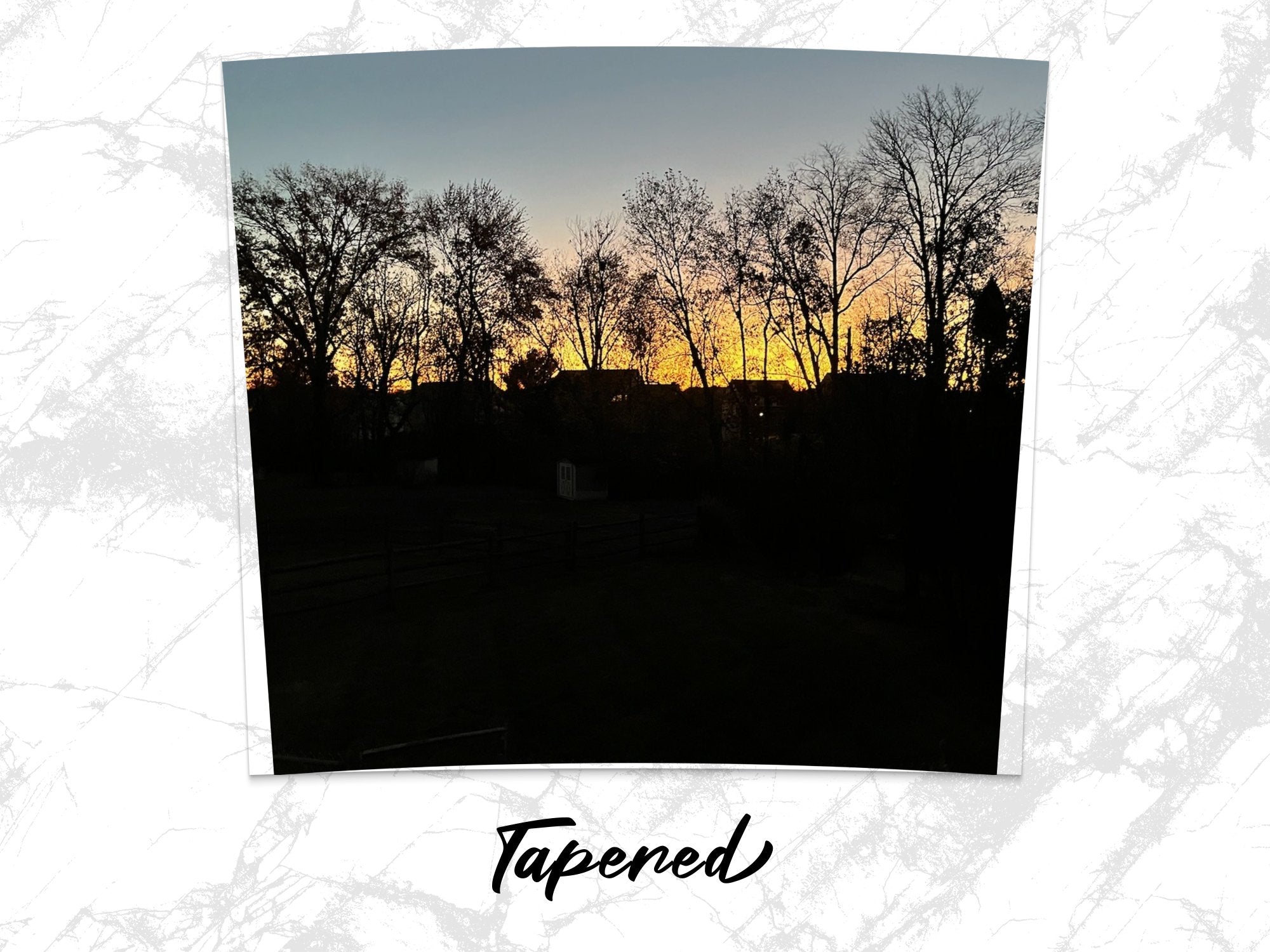 3b8eb132-f24f-4b60-bfd7-f1de821921ad