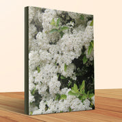 Beautiful White Flower Canvas Wall Art product type