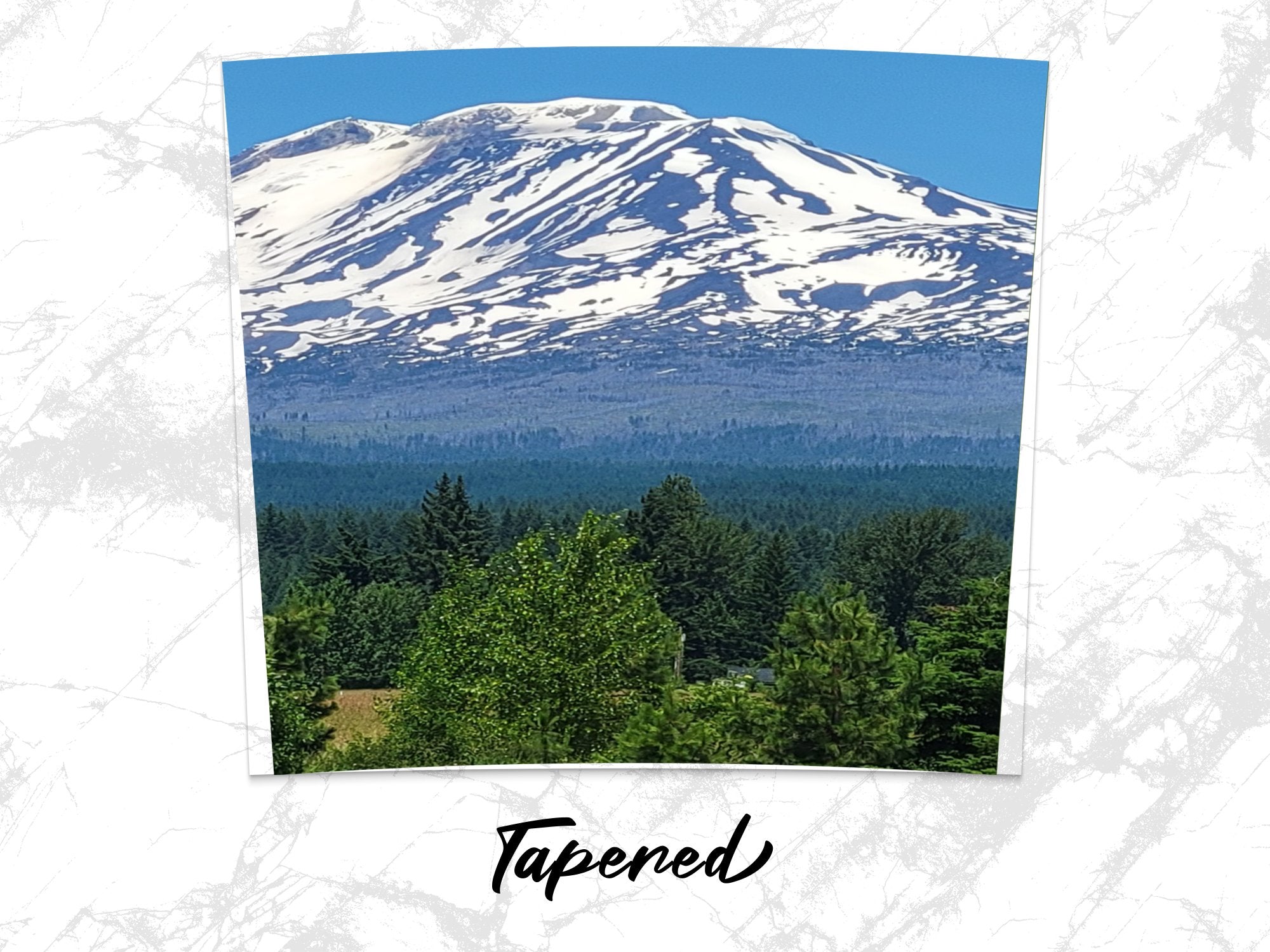 3bc94bd7-dd58-4350-9dad-5fe366030647