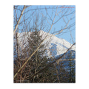 3bf0028b-0af4-4197-8cb9-9e480985e307