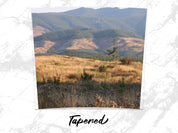 3c51d6e8-49c1-4fea-8272-40ee35c630a0