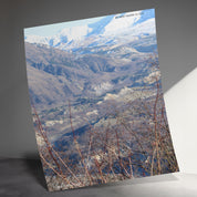 3caad555-e867-4201-aaf6-8d509fbda390