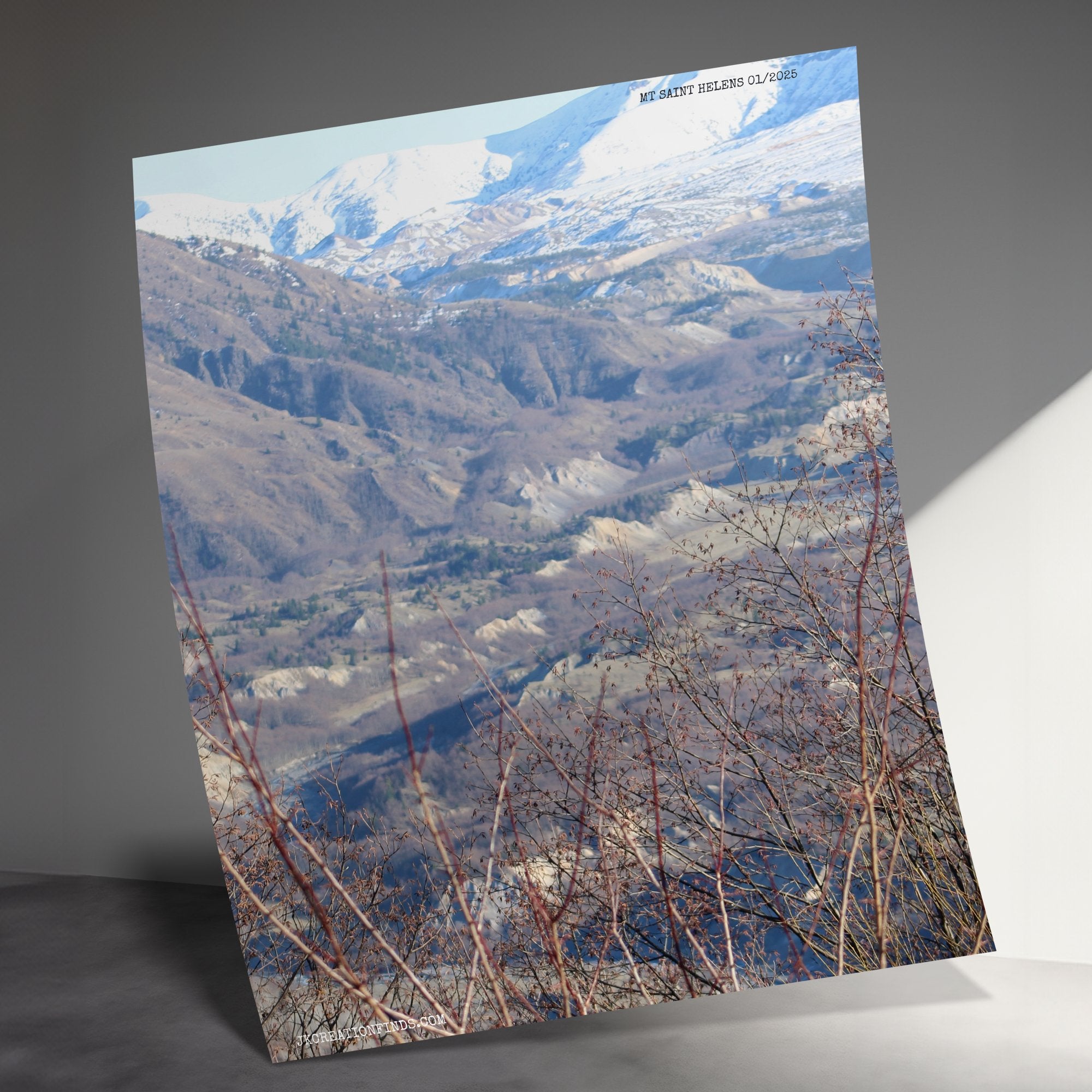 3caad555-e867-4201-aaf6-8d509fbda390