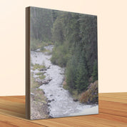 3d292001-7fb6-4506-95a2-b656fc8c27e9