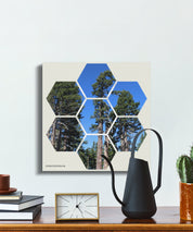 3db23129-902e-433f-8f58-b37be3fd1b1e