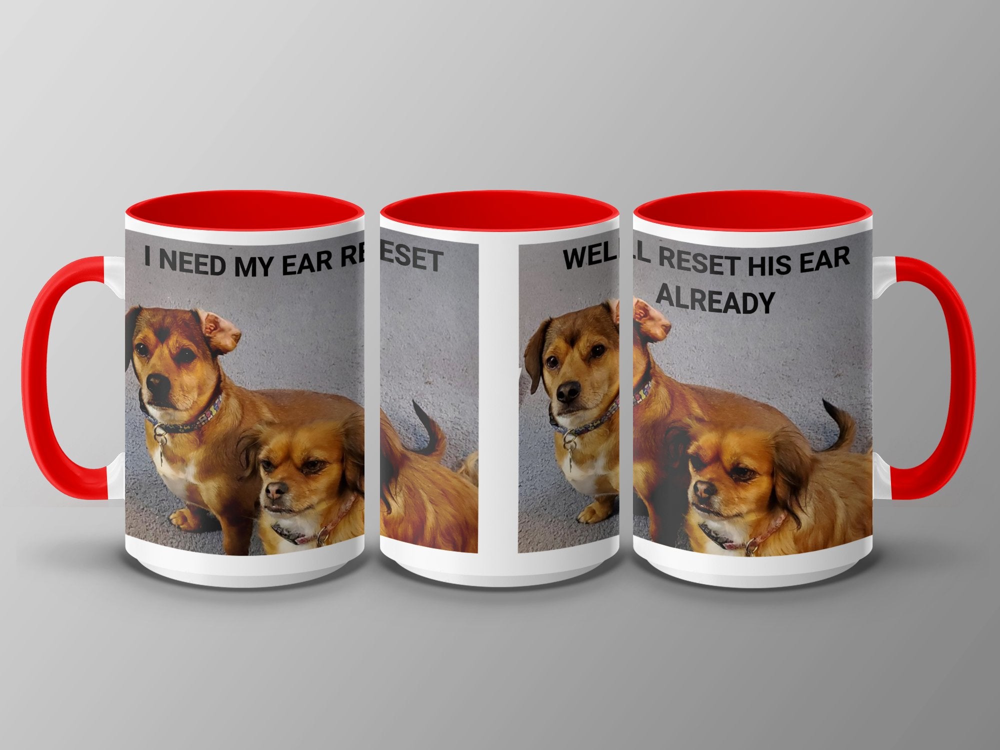 3e22b6bd-334c-4ae6-8559-f259ccf0ebc5