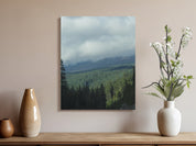 3eb71611-5d24-4498-91a9-82b24d3df10e