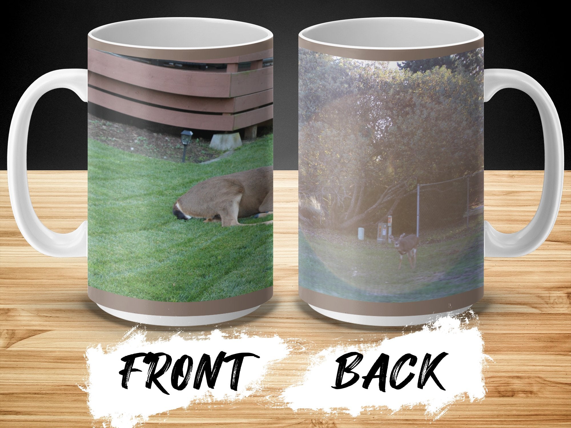 409c815e-0934-4436-b38d-54f8ce023a2d