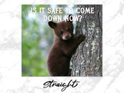 411e0160-7c37-44ce-b774-8880974a3f95