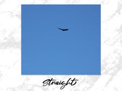 4156cbe8-e87f-49de-838d-95667841ebe7