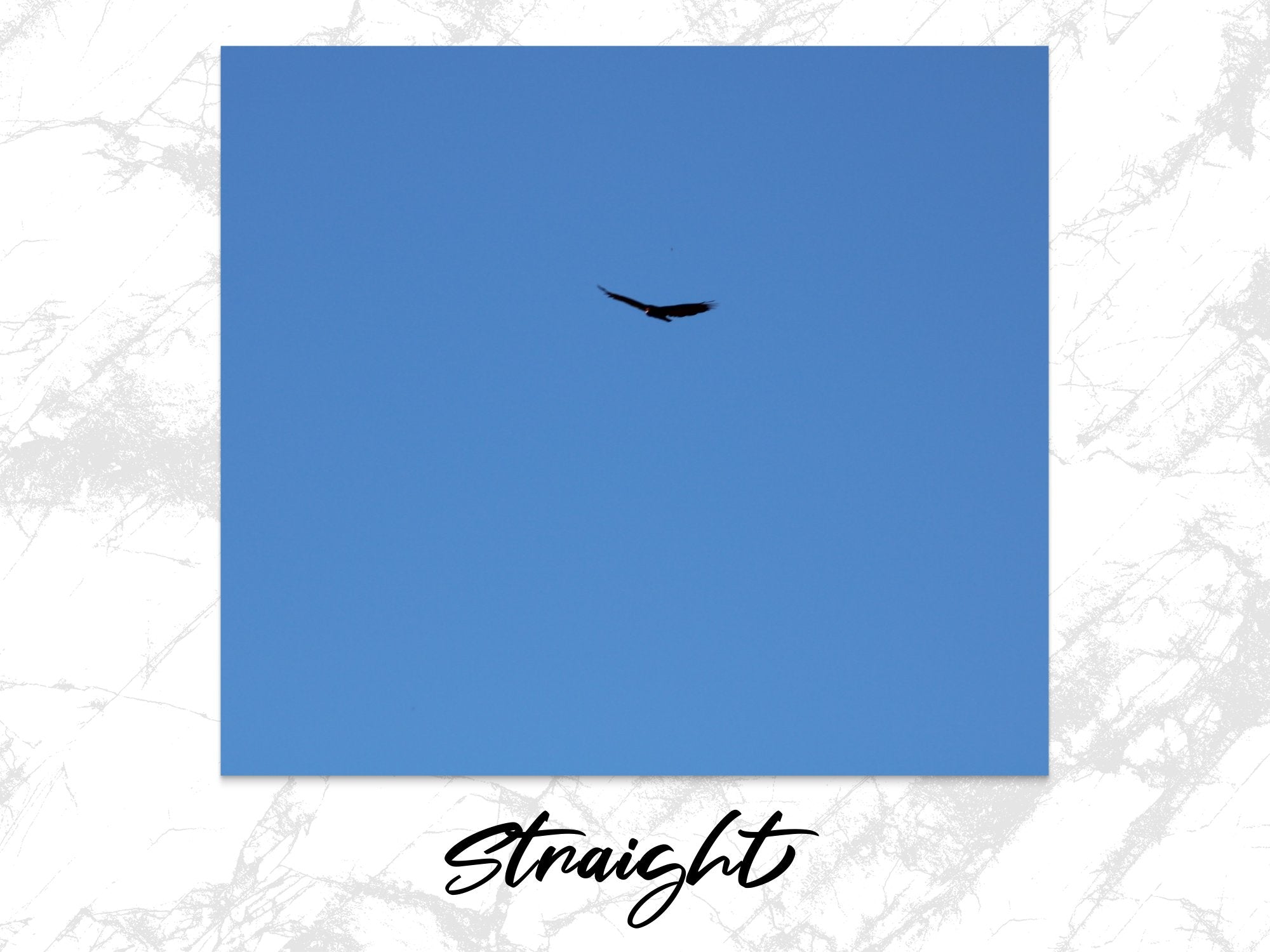 4156cbe8-e87f-49de-838d-95667841ebe7