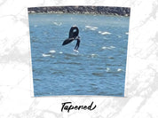 4161c319-e5d9-4bfb-b07d-83d1b2028314