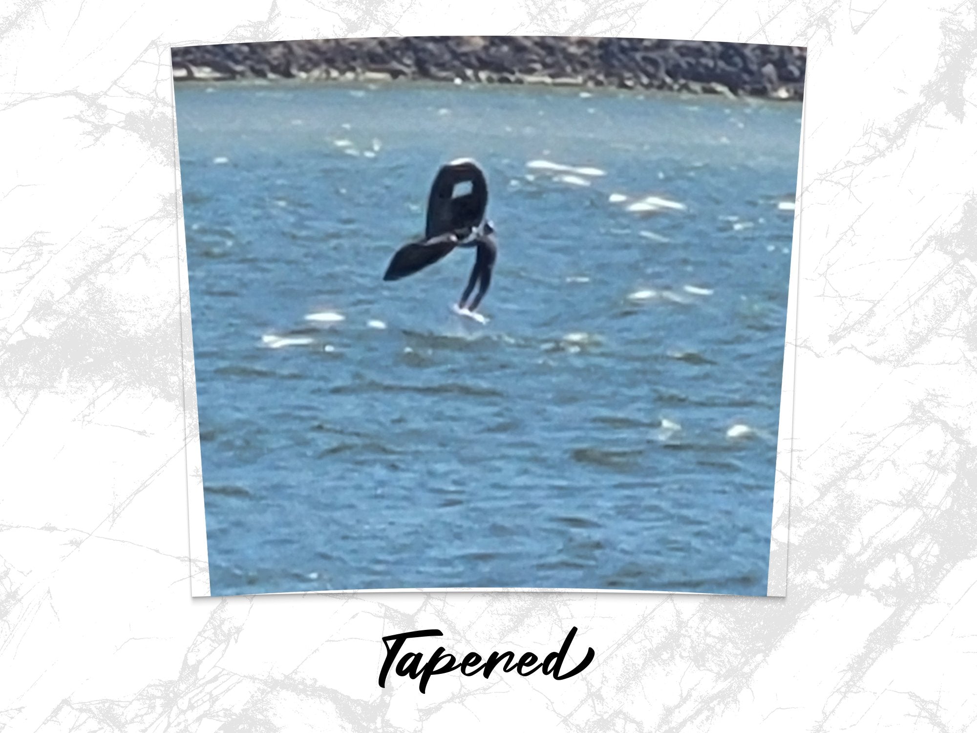 4161c319-e5d9-4bfb-b07d-83d1b2028314