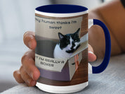 4304c572-d384-42dc-b8da-6b718fb5ff6a