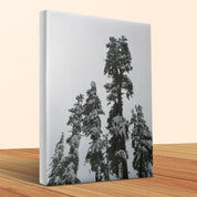 433dc58e-38e3-4329-866f-7a42eadd5ba5