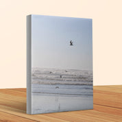 43aeb4f8-88ef-441f-8ecc-32e10edc52fc