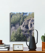 44171de4-ecee-4b89-a2a0-6cbab5df8194