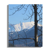 4421e64c-083b-4f57-a7a0-1d3eb3b8fff7