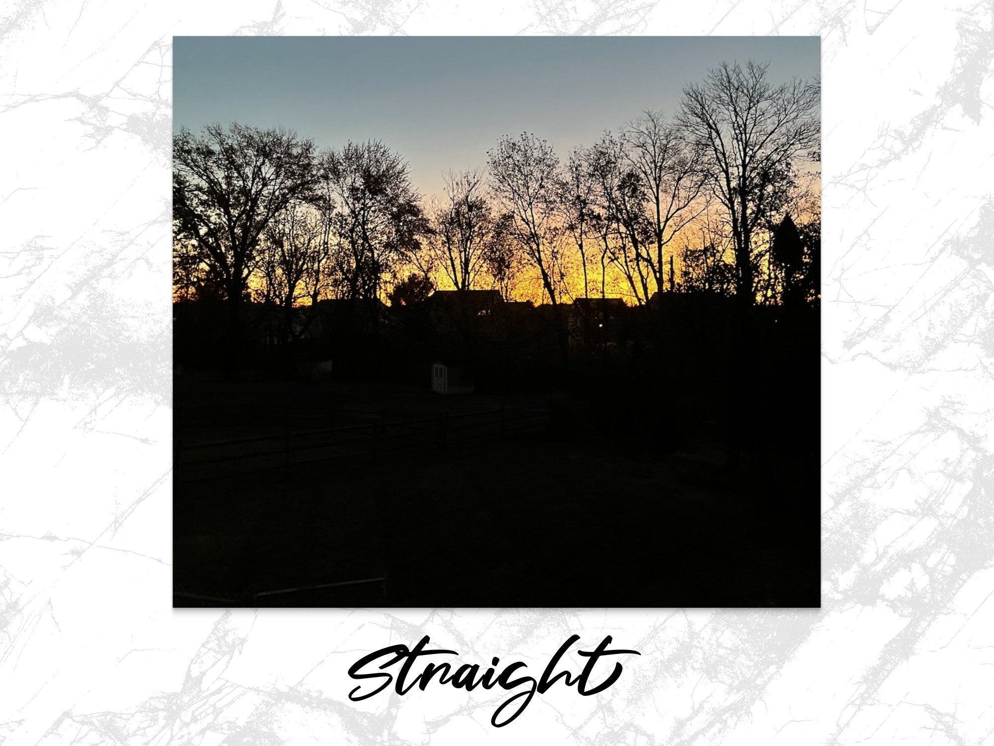 445777ea-a455-4307-bc37-ace00d16101f